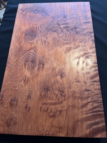 Old growth redwood - old,